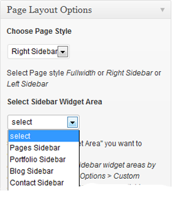 Page Layout Options